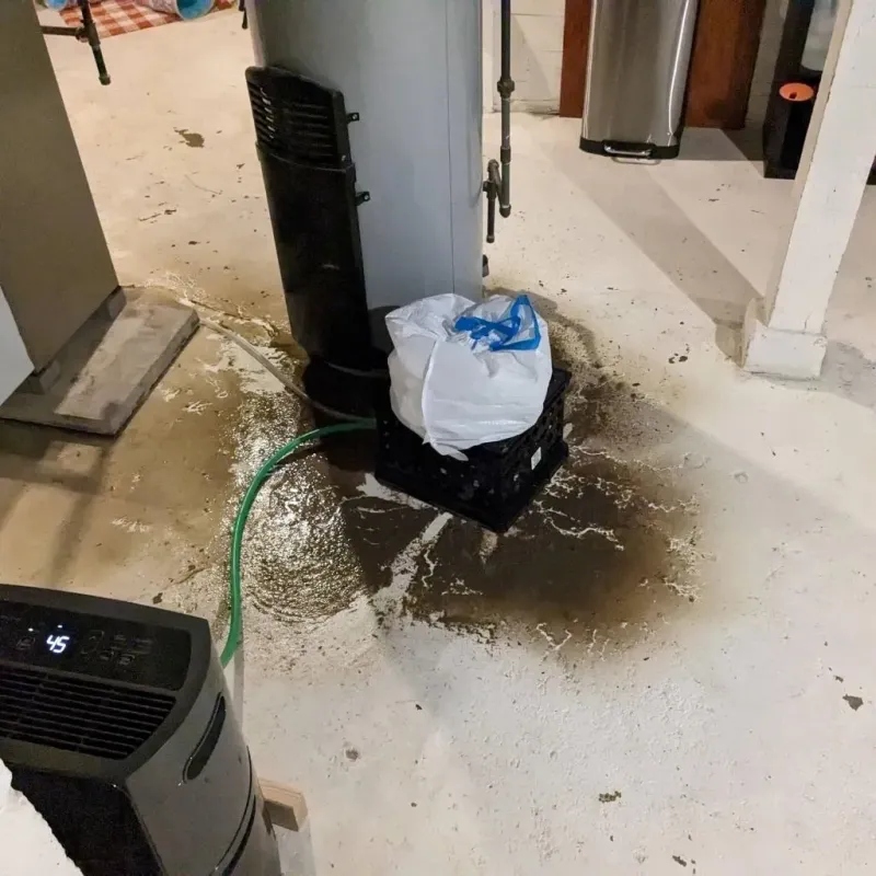 Sewage Backup Cleanup Service in Taliaferro County, GA